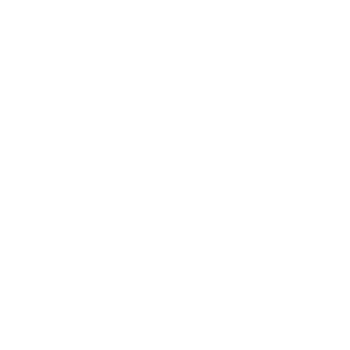 XBOX Game Studios